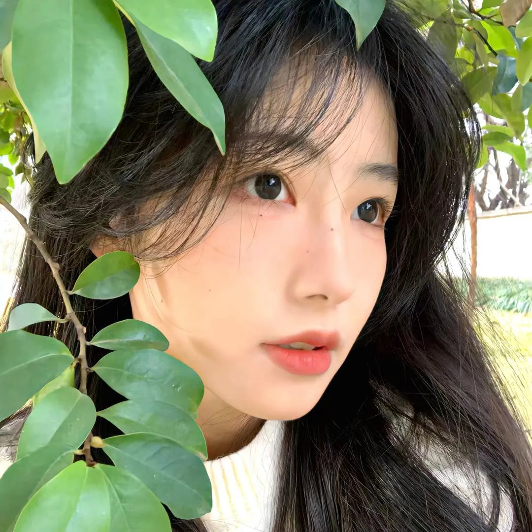新贵 第二季